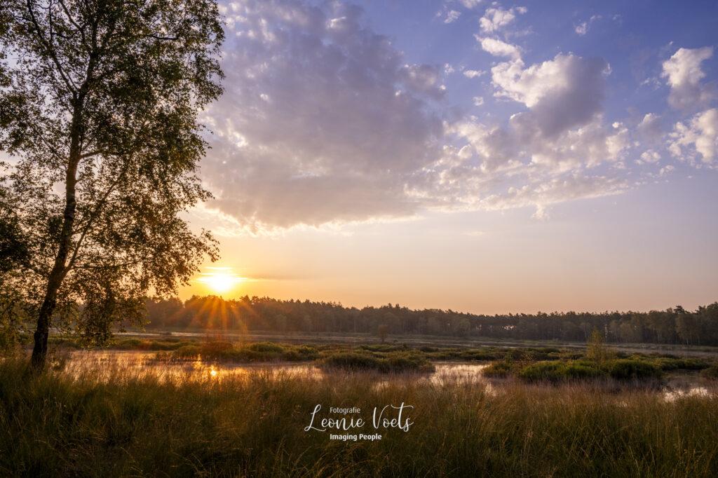 natuurfotografie-imagingpeople-leonievoets